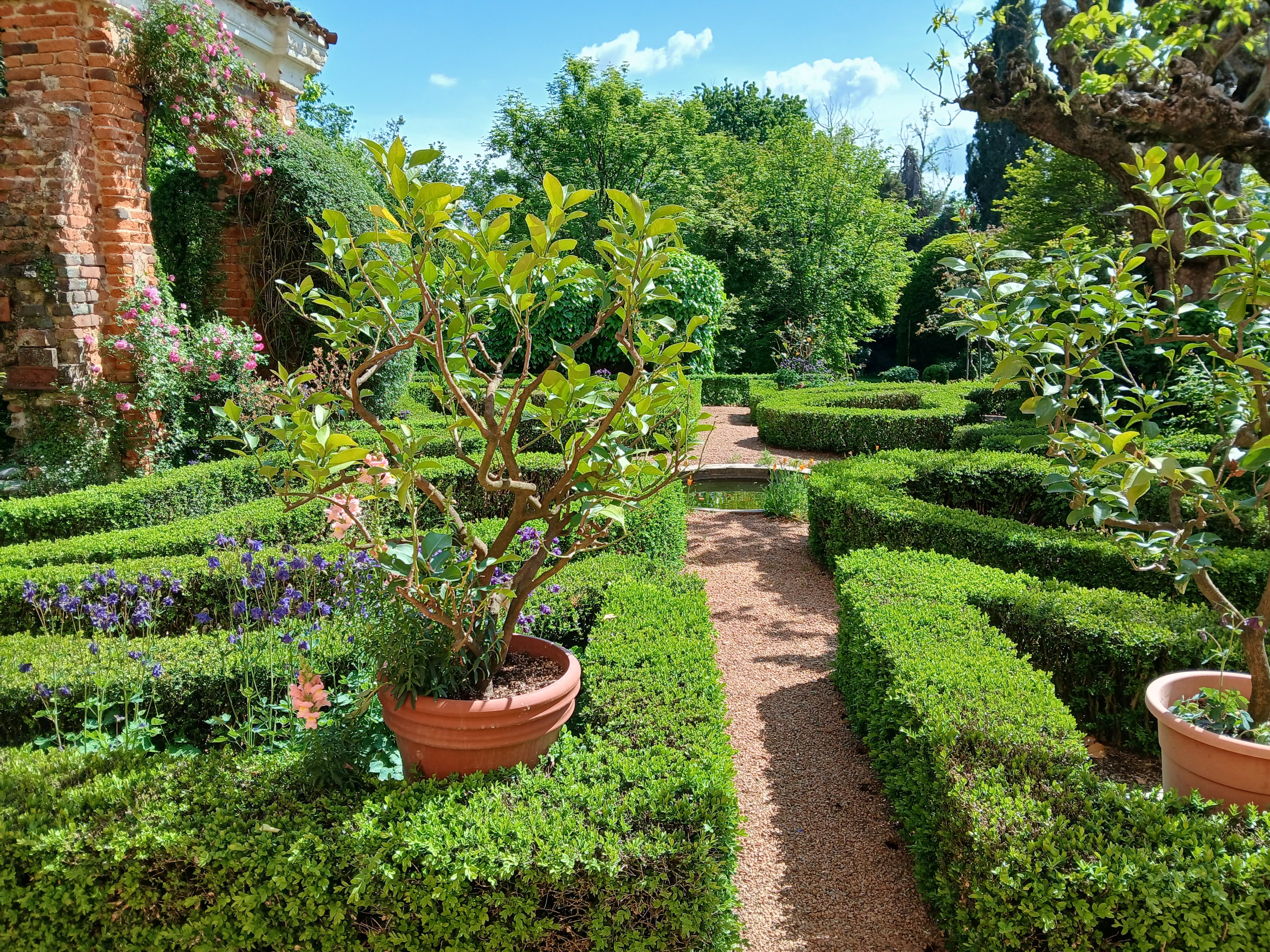 Giardino