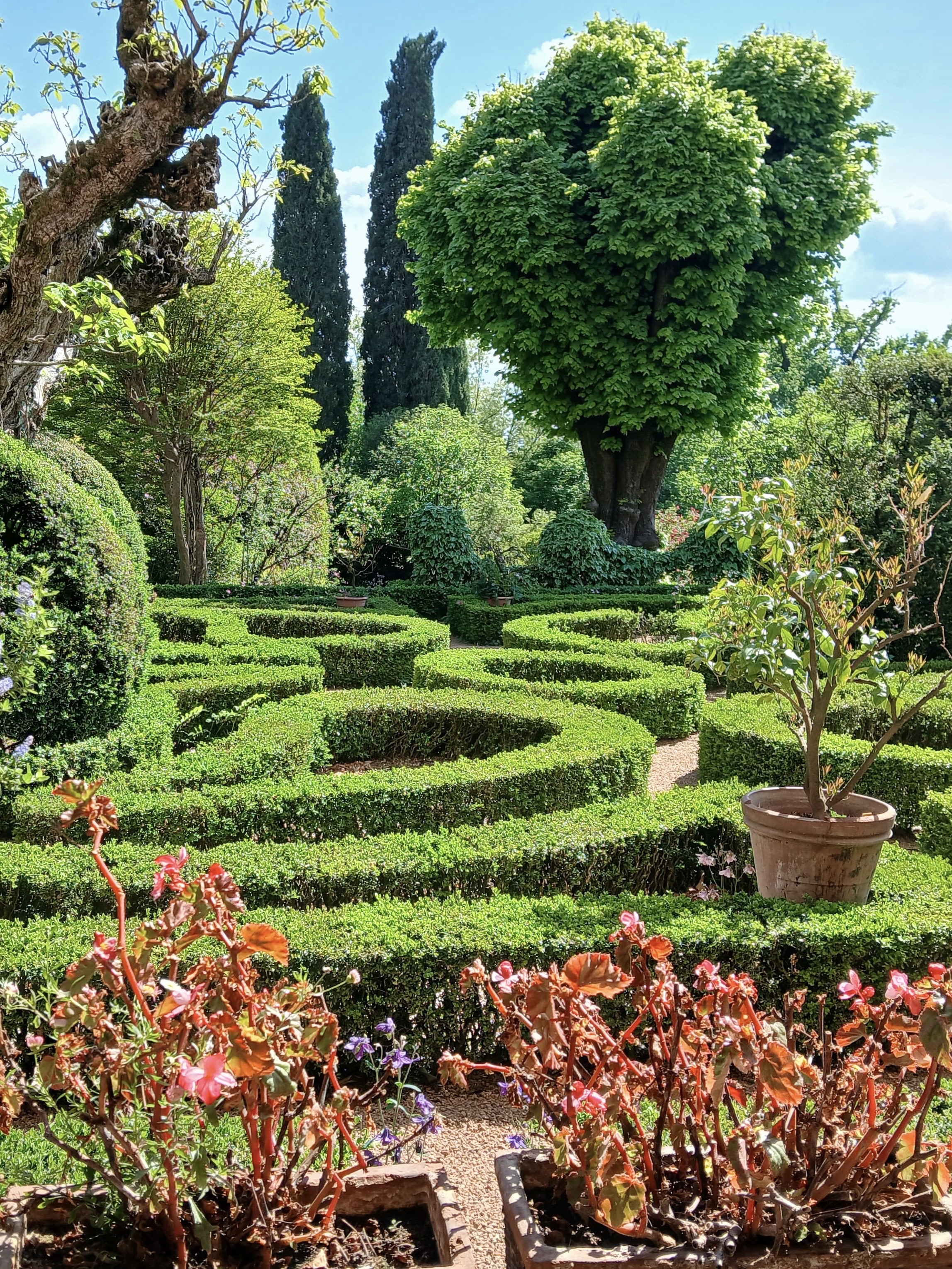 Giardino