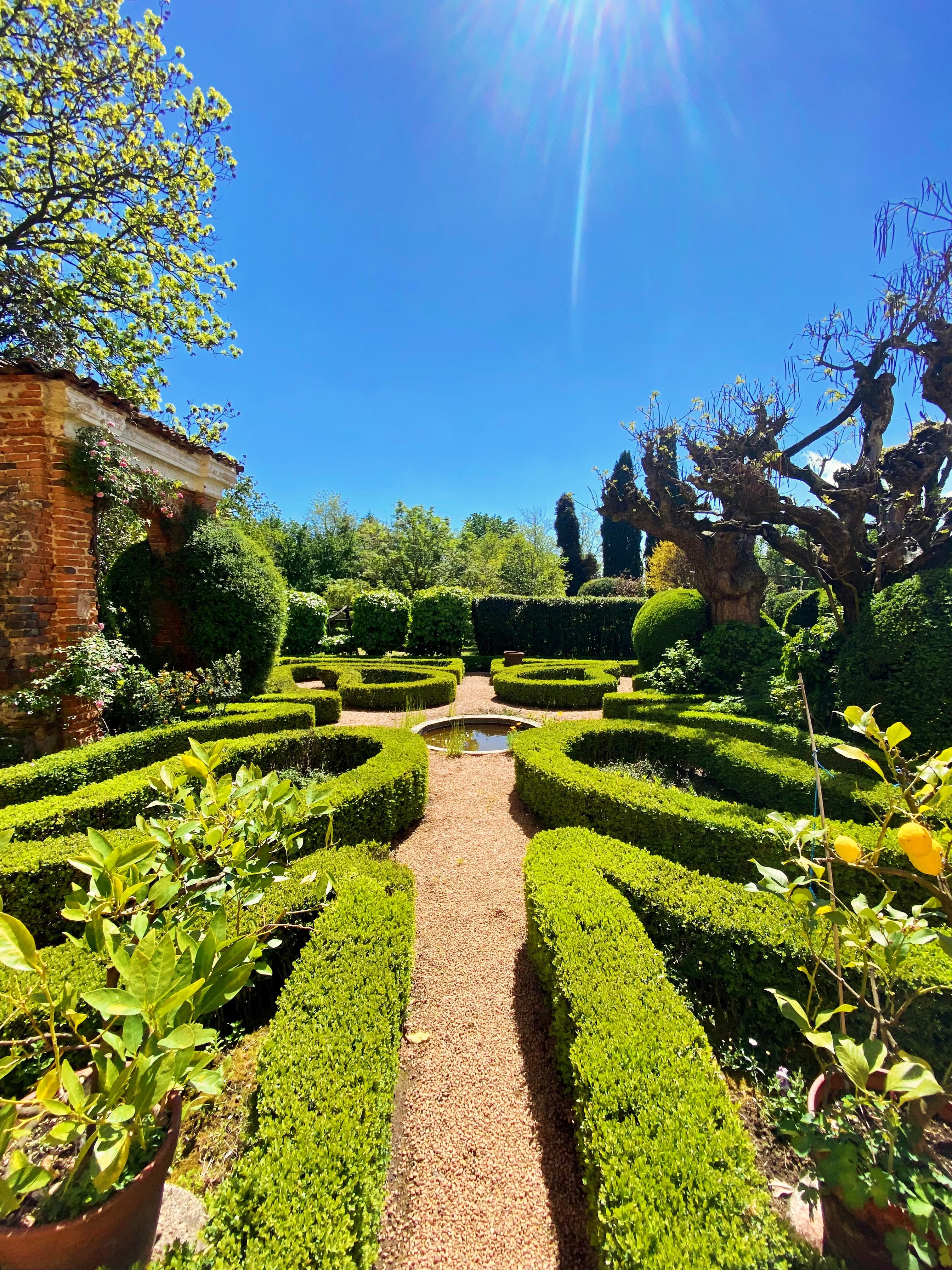 Giardino
