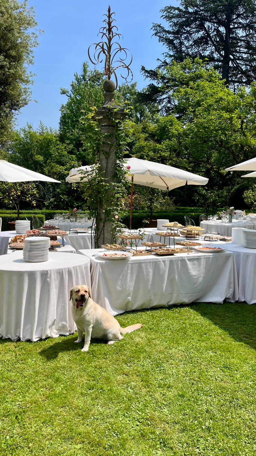 Giardino — percorso tra le siepi