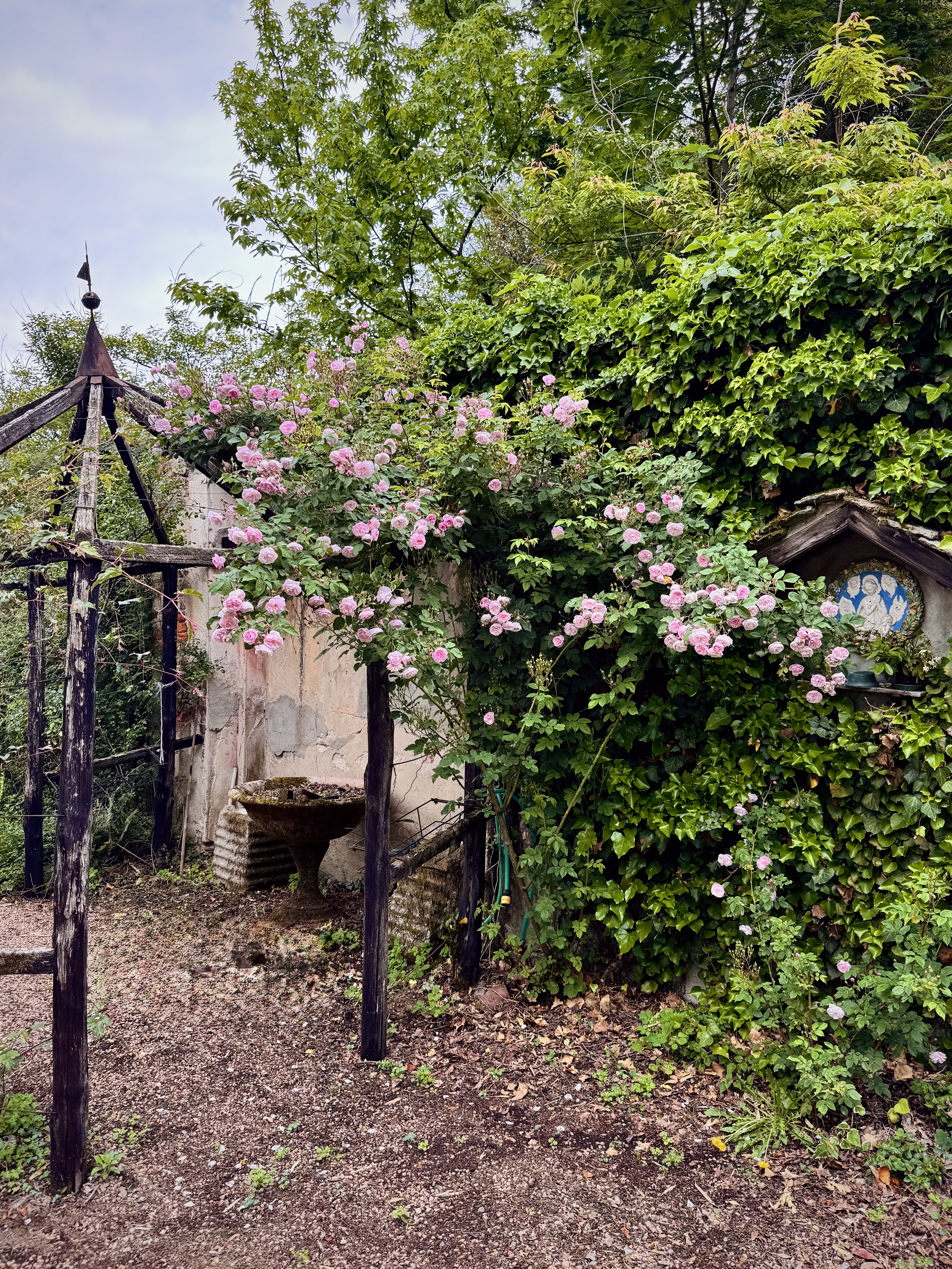 Giardino
