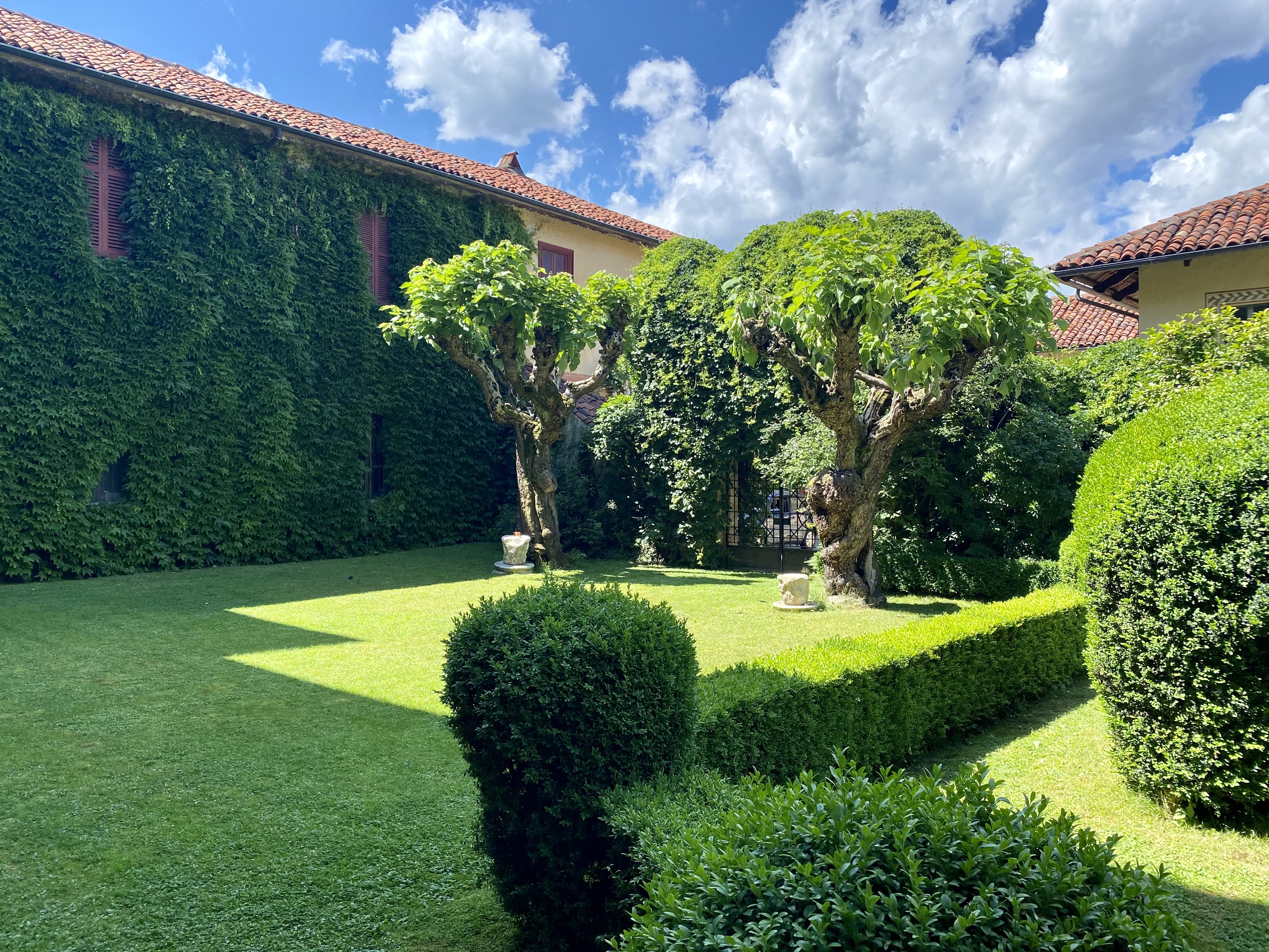 Giardino con alberi e prato verde